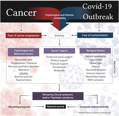 The Sum of Fears in Cancer Patients Inside the Context of the COVID-19